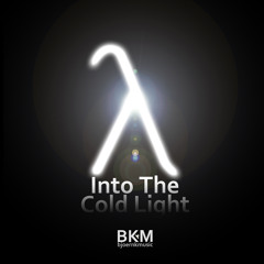 Into The Cold Light || Half-Life 2 Triage at Dawn Metal Remix
