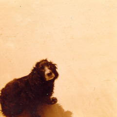 Pumice "Why I Chew My Sleeves"