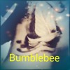 yard-bird-bumblebee-ocp-bumblebee