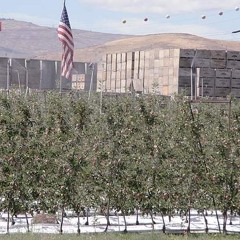 Price rebound predicted for Washington apples. Ag Minute for Aug 11, 2015