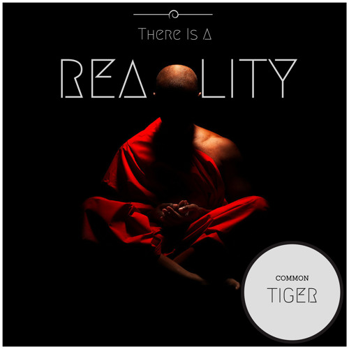 Common Tiger - There Is A Reality