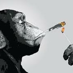 JNUDES- Passing The Time