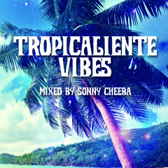 Tropicaliente Vibes DJ Mix