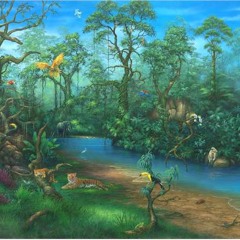 Jungledreams
