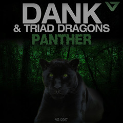 DANK & Triad Dragons - Panther {Vicious Recordings}