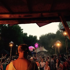 Daniel Schumann - Wilde Möhre Festival 2015 (Wildschreck)