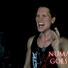 Pellek - Dragostea din tei (Numa Numa) O - ZONE / METAL COVER