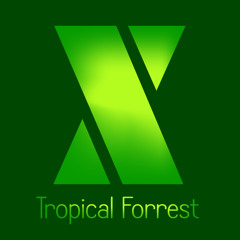 Tropical Forrest