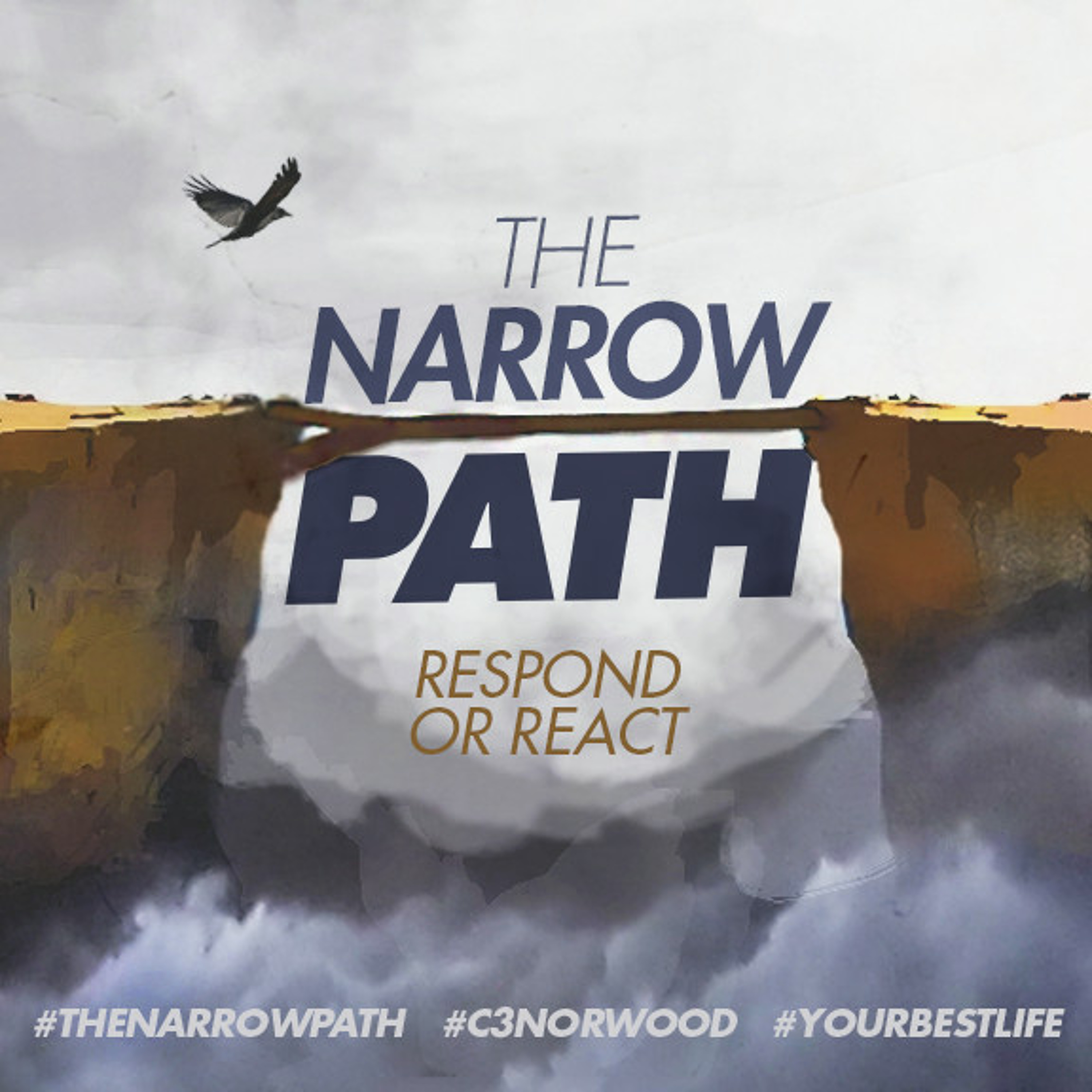 The Narrow Path: Respond Or React (Part 2) |  Chris - August 9th 2015