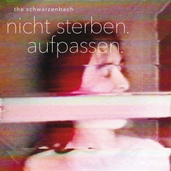 The Schwarzenbach: Kontersong
