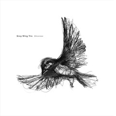 Amoroso - Grey Wing Trio