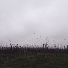 Caldera Probe 1 mit David