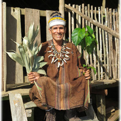 Shaman Don Francisco & Rachel - Icaro 27 Ayahuasca Ceremony