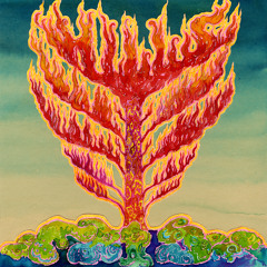 Terrascope Playlist 7
