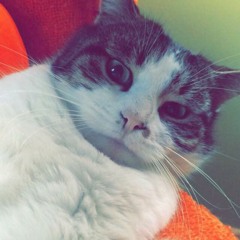 A écouter plus tard