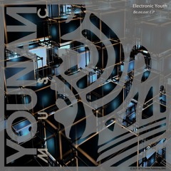 Electronic Youth - Be.ee.eat (Younan Music)