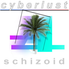 cyberlust ft. Schizoid - modern ((SCHIZOID コンピューター EXTENDED MIX))