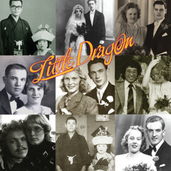 Little Dragon - Ritual Union(Lasso D'Amore Remix)