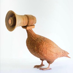 Spontaneous Collective - Mazele