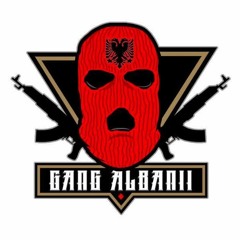 Gang Albanii - Napad na bank | METAL COVER | 2015