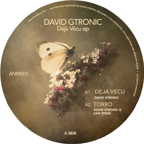 B1. David Gtronic - Arcturia (Original Mix) - Analoq 003
