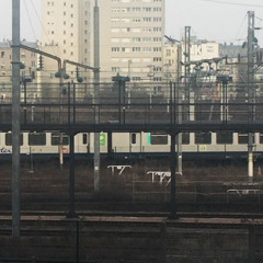 Subway, Inside the train