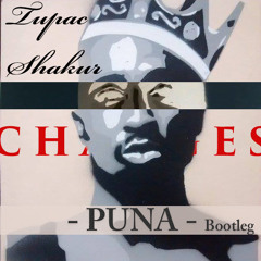 The Speech [Changes] - Tupac Shakur (Puna Bootleg)