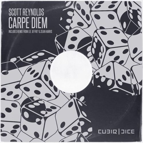 Scott Reynolds - Carpe Diem (Lee Jeffrey UK remix)