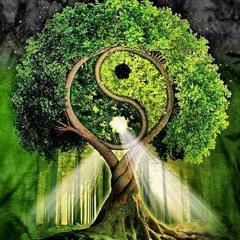 Xavier Unknown Aaron Unknown - Mind and spirit of the earth