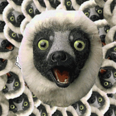 zoboomafoo theme