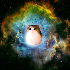 Goa und Psy Trance-4