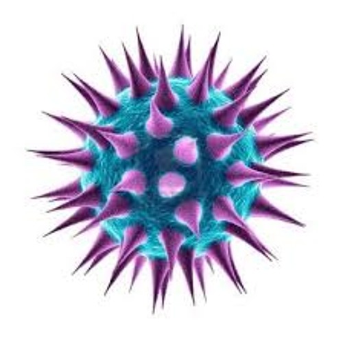 †§RX x FractalStein - Microbe