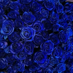 Snitch is a snitch ft Butta Bunes & Mike Stressmen