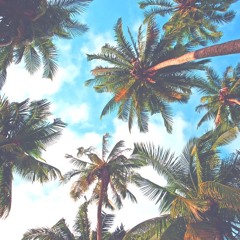 PALMTREES2.0