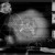 Artwork for Godspeed You! Black Emperor - Moya