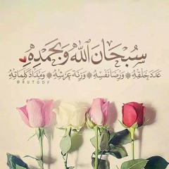سورة الكهف للقارئ مصطفي اللاهوني