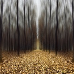 Deep Explorations MIX.