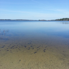 Negative Release (Prod. Ricky Vela)