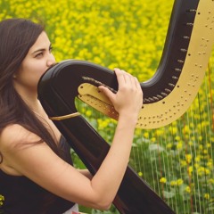 Introduction Et Allegro by Maurice Ravel