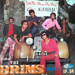 The Brims - Anti Gandja