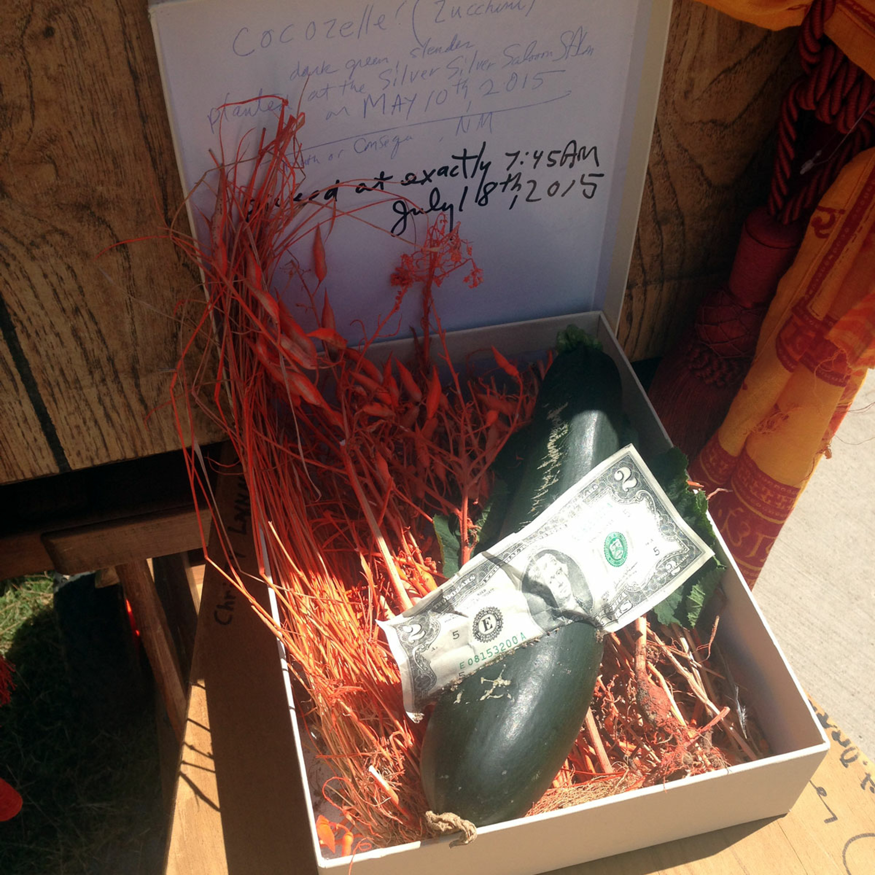 Seed Story Broadcasts