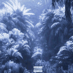 FINESSE (Prod. By Sap X)