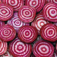 Disweaksbeets 8/12