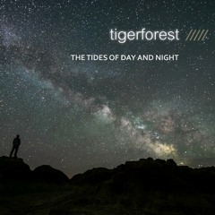 Geometry of shadows - Tigerforest & Eskadet