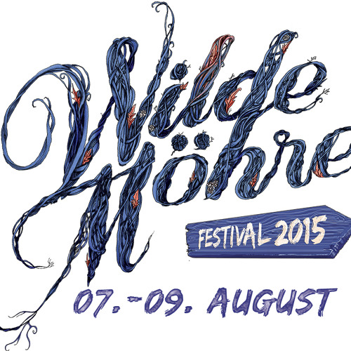 Chris Hanke & Kevin Beyer @  Wilde Möhre 2015 - 08 - 09