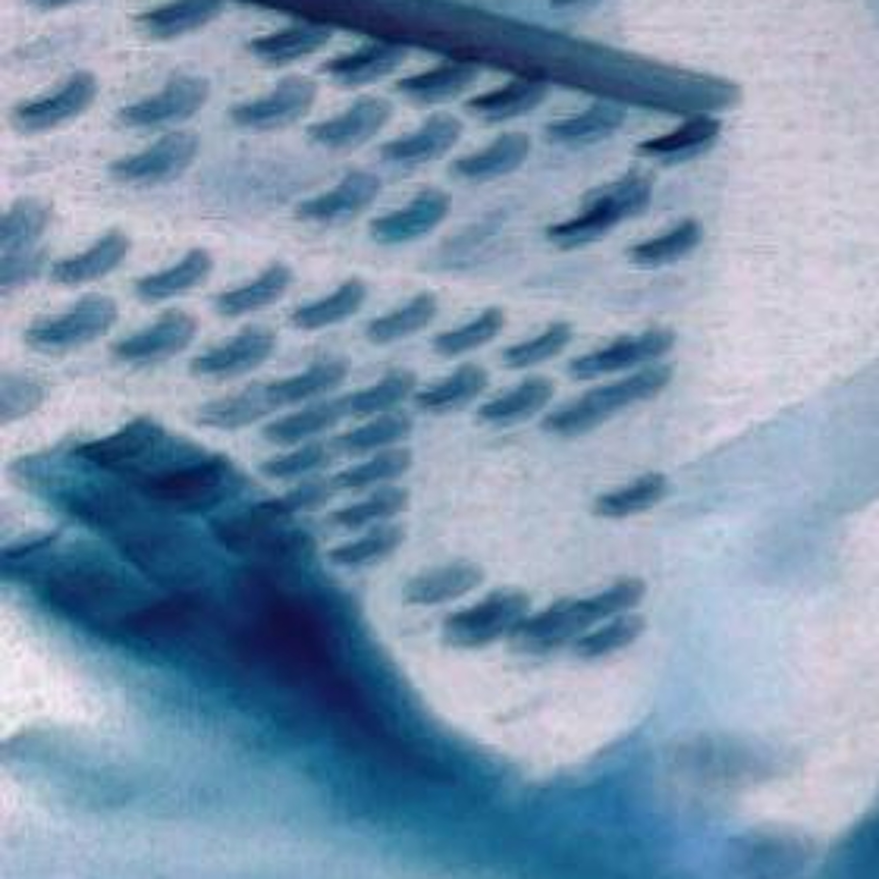 fine electronic dance music