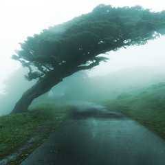 Eher so Nieselregen im Kopf