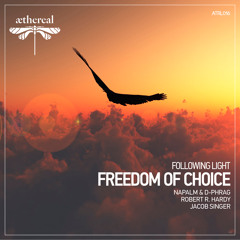 Following Light - Freedom of Choice (Robert R. Hardy Remix)