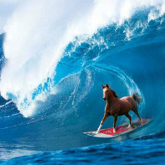 Surf Horse