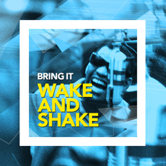 Bringit - Wake And Shake(Original Mix) FREE DOWNLOAD